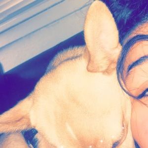 Meet your Posher, Lyric